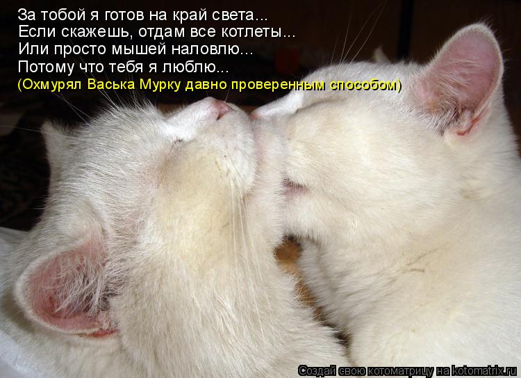 За тобой я готов на край света... Если скажешь, отдам все котлеты... Или просто мышей наловлю... Пото... Котоматрица: За тобой я готов на край света... Если скажешь, отдам все котлеты... Или просто мышей наловлю... Потому что тебя я люблю... (Охмурял Васька Мурку