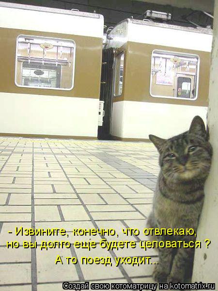 но вы долго еще будете целоваться ? А то поезд уходит... - Извините, конечно, что отвлекаю,... Котоматрица: но вы долго еще будете целоваться ? А то поезд уходит... - Извините, конечно, что отвлекаю,