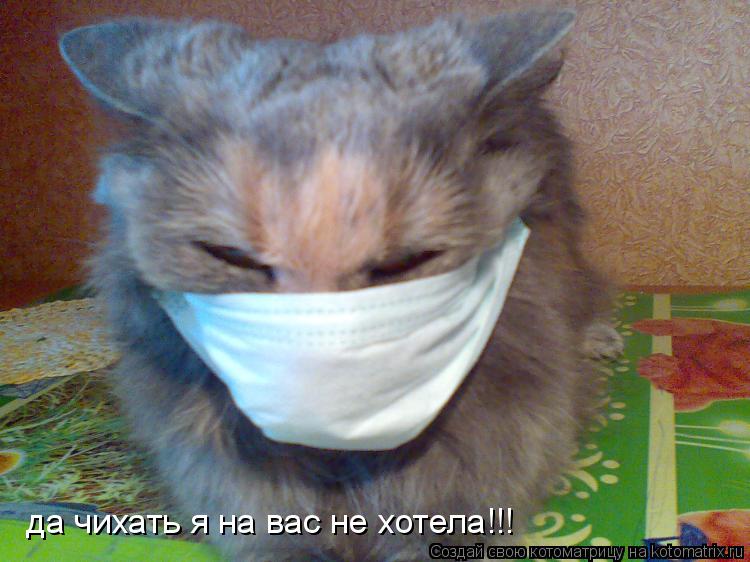 да чихать я на вас не хотела!!!... Котоматрица: да чихать я на вас не хотела!!!