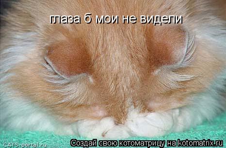 Котоматрица: глаза б мои не видели