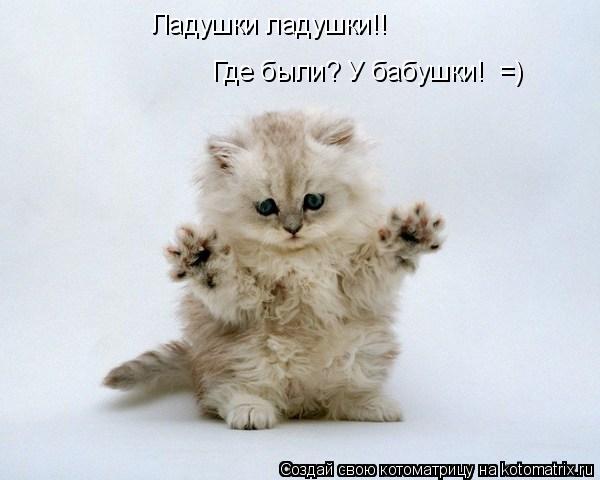 Котоматрица: Ладушки ладушки!! Где были? У бабушки!  =)