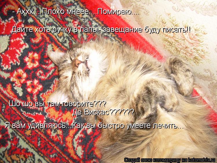 Котоматрица: - Аххх... Плохо мнеее....Помираю.... Дайте хоть ручку в лапы- завещание буду писать!! Шо шо вы там говорите??? Де Вискас?????? Я вам удивляюсь...Как в
