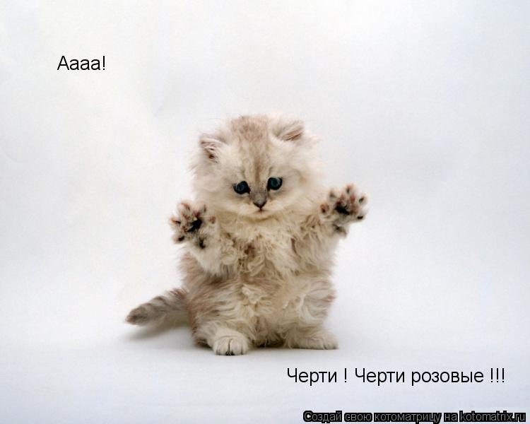 Котоматрица: Аааа!  Черти ! Черти розовые !!!