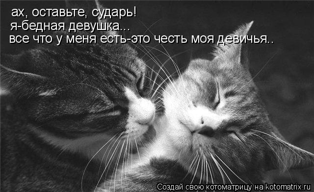 Котоматрица: ах, оставьте, сударь! я-бедная девушка... все что у меня есть-это честь моя девичья..