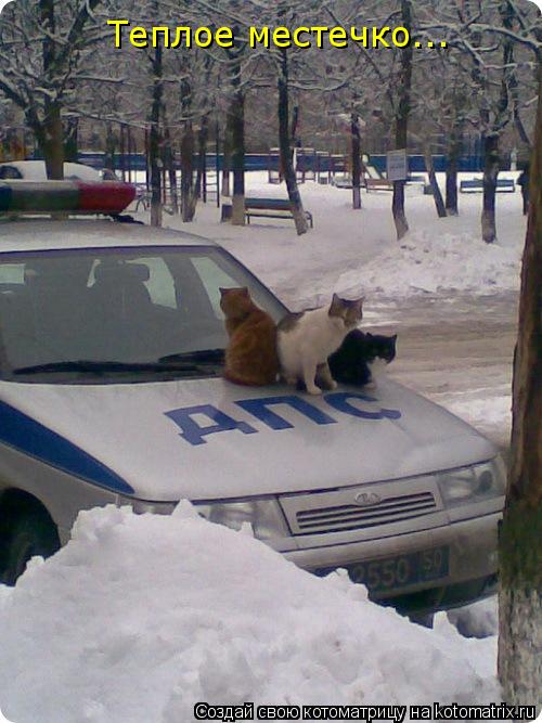 Котоматрица: Теплое местечко...
