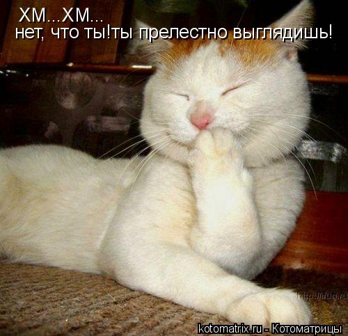 Котоматрица: ХМ...ХМ... нет, что ты!ты прелестно выглядишь!