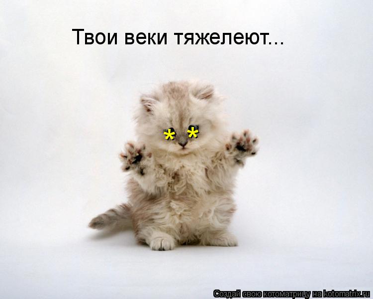Котоматрица: * * Твои веки тяжелеют...