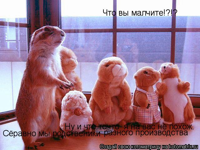 Котоматрица: Что вы малчите!?!? Ну и что точто  я на вас не похож. Сёравно мы родственики разного производства