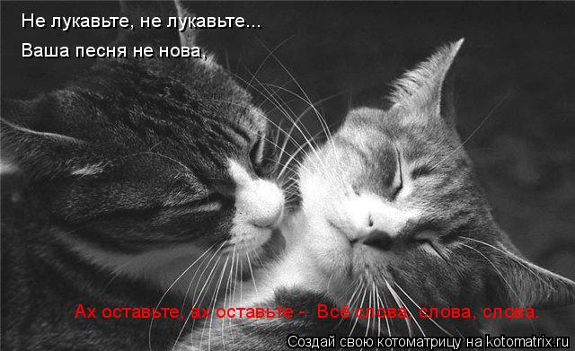 Не лукавьте, не лукавьте... Ваша песня не нова, Ах оставьте, ах оставьте - Всё слова, слова, слова... Котоматрица: Не лукавьте, не лукавьте... Ваша песня не нова, Ах оставьте, ах оставьте - Всё слова, слова, слова.