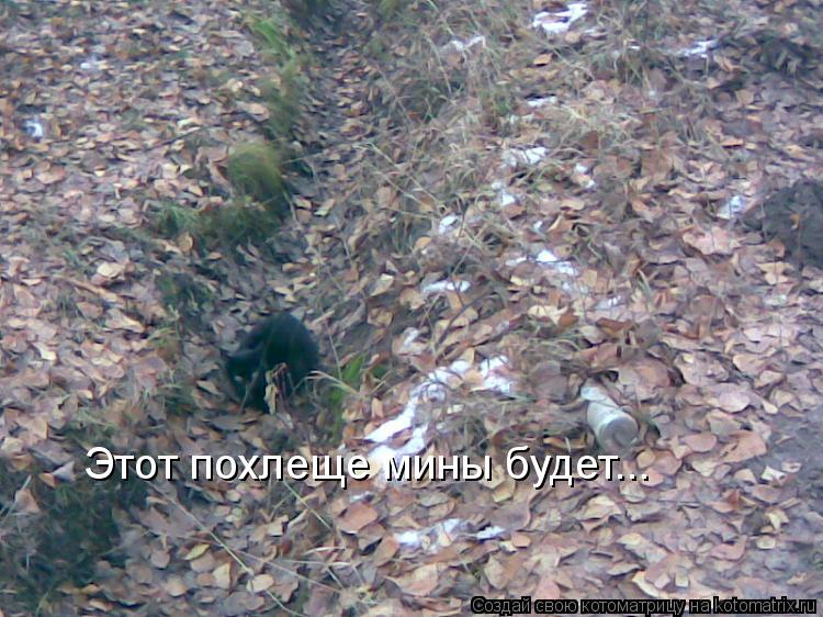 Котоматрица: Этот похлеще мины будет...