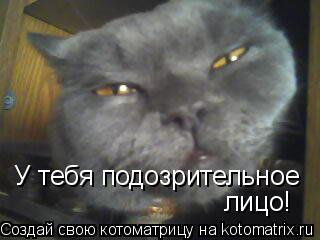Котоматрица: У тебя подозрительное лицо!