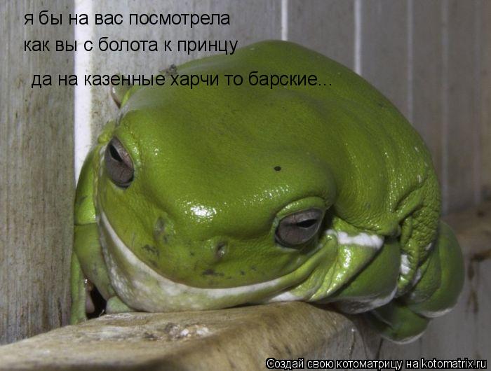 Котоматрица: я бы на вас посмотрела как вы с болота к принцу  да на казенные харчи то барские...