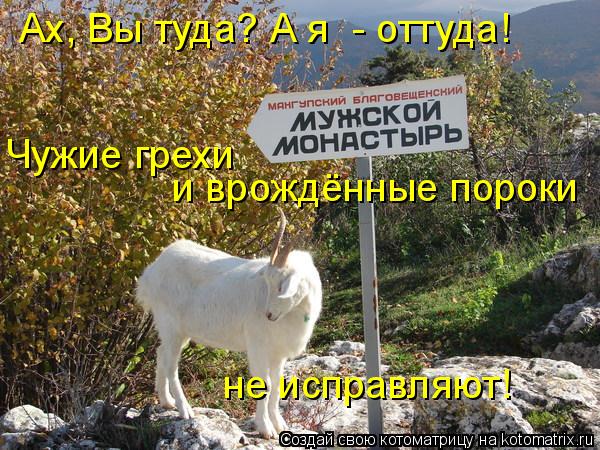 Котоматрица: Чужие грехи  и врождённые пороки  не исправляют! Ах, Вы туда? А я  - оттуда!