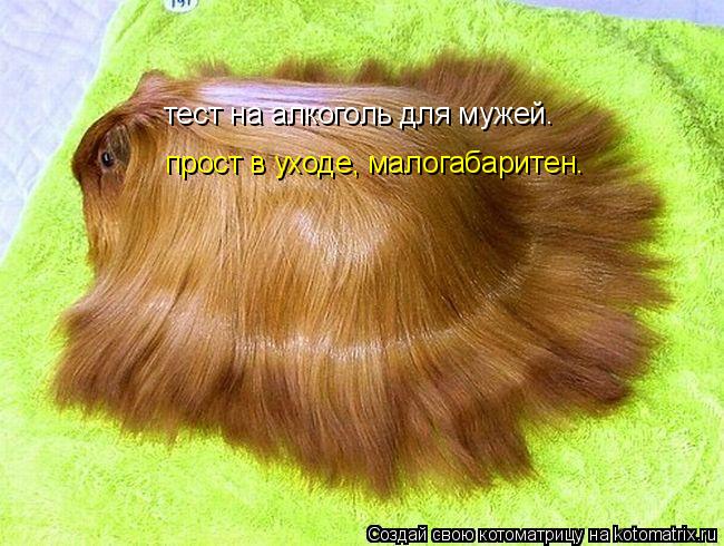 Котоматрица: тест на алкоголь для мужей. прост в уходе, малогабаритен.