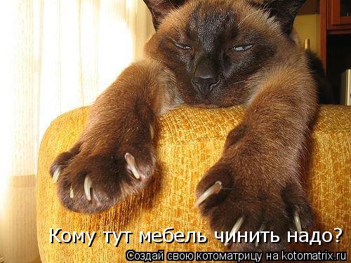 Котоматрица: Кому тут мебель чинить надо?