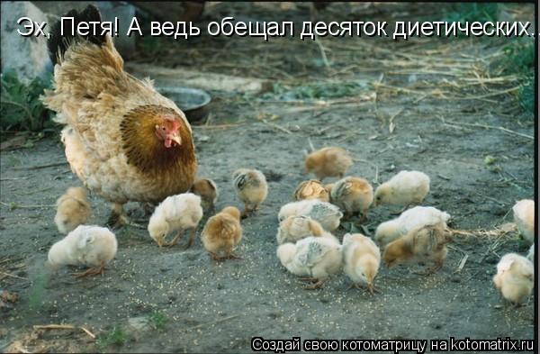 Котоматрица: Эх, Петя! А ведь обещал десяток диетических...