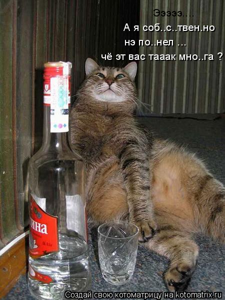 Котоматрица: Эээээ.... А я соб..с..твен.но нэ по..нел ... чё эт вас тааак мно..га ?