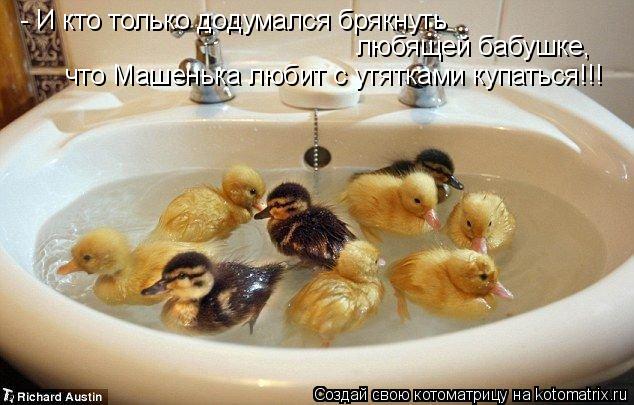 Котоматрица: - И кто только додумался брякнуть  любящей бабушке, что Машенька любит с утятками купаться!!!