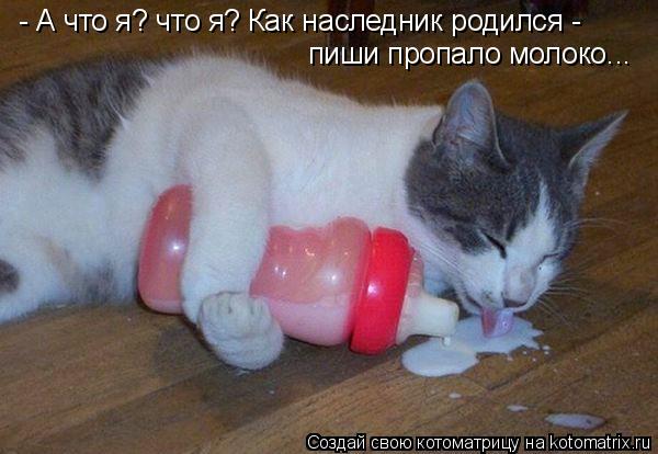 Котоматрица: - А что я? что я? Как наследник родился -  пиши пропало молоко...
