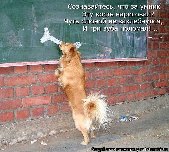 Сознавайтесь, что за умник Эту кость нарисовал? Чуть слюной не захлебнулся, И три зуба поломал!...... Котоматрица: Сознавайтесь, что за умник Эту кость нарисовал? Чуть слюной не захлебнулся, И три зуба поломал!...
