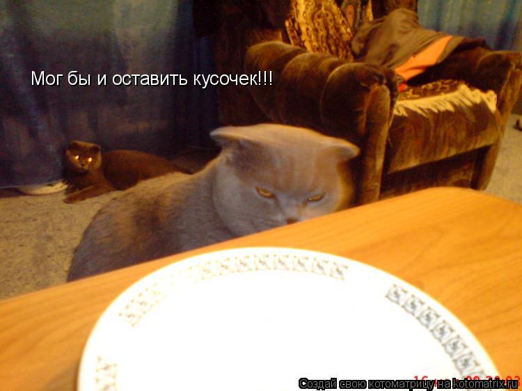 Котоматрица: Мог бы и оставить кусочек!!!