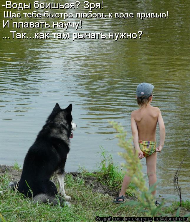 Котоматрица: -Воды боишься? Зря! Щас тебе быстро любовь к воде привью! И плавать научу! ...Так...как там рычать нужно?