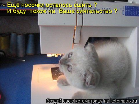 Котоматрица: - Ещё носочки осталось сшить ?  И буду  похож на  Ваше сиятельство ?