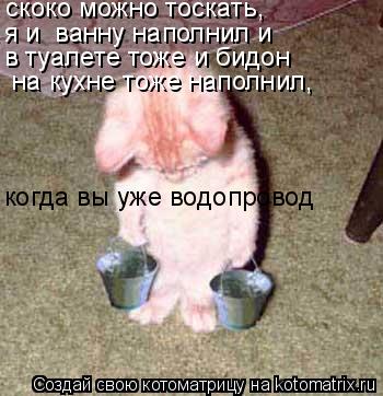 Котоматрица: скоко можно тоскать,  я и  ванну наполнил и   на кухне тоже наполнил, когда вы уже водопровод  в туалете тоже и бидон