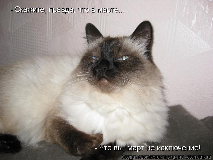 Котоматрица: - Скажите, правда, что в марте... - Что вы, март не исключение!