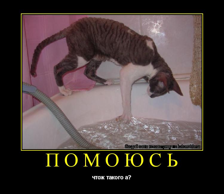 Котоматрица: помоюсь чтож такого а?