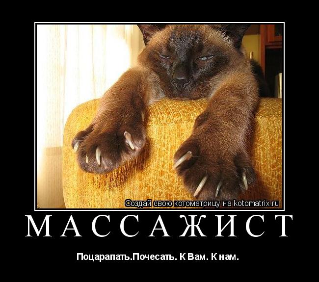 Котоматрица: МАССАЖИСТ  Поцарапать.Почесать. К Вам. К нам. 