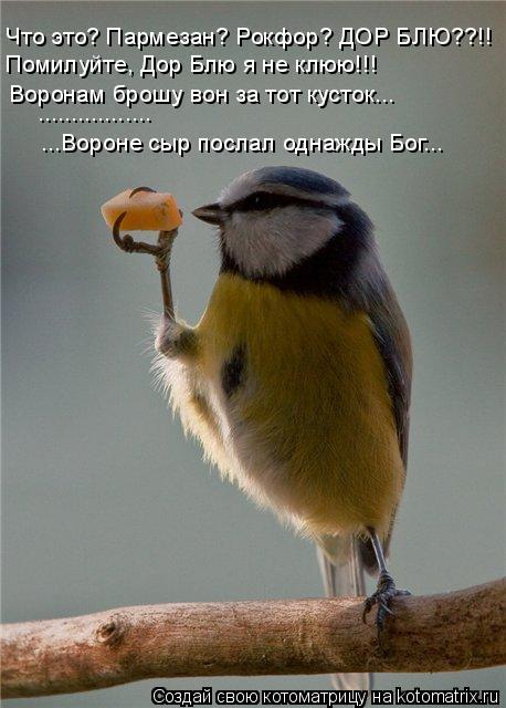 Воронам брошу вон за тот кусток... …………………………………………. ...Вороне сыр послал однажды Бог... Что это? Пар... Котоматрица: Воронам брошу вон за тот кусток... …………………………………………. ...Вороне сыр послал однажды Бог... Что это? Пармезан? Рокфор? ДОР БЛЮ??!! Помилуйте