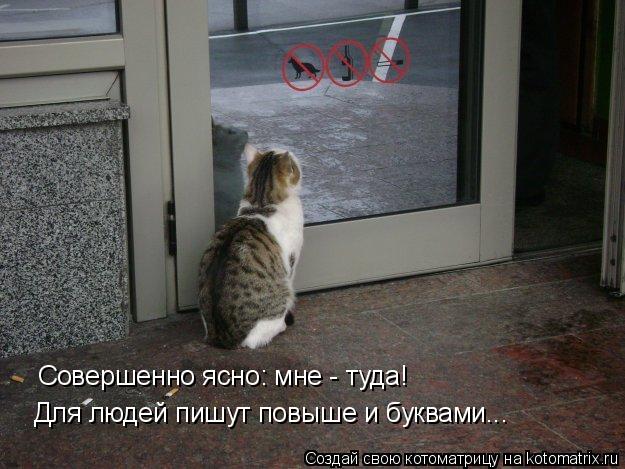 Котоматрица: Совершенно ясно: мне - туда! Для людей пишут повыше и буквами...