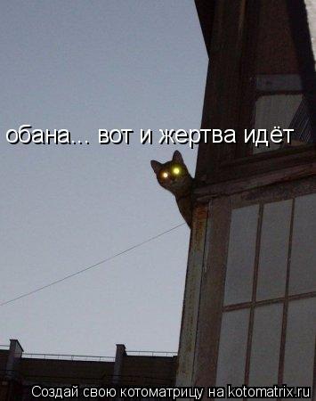 Котоматрица: обана... вот и жертва идёт
