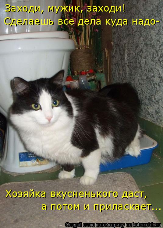 Котоматрица: Заходи, мужик, заходи! Сделаешь все дела куда надо- Хозяйка вкусненького даст, а потом и приласкает...