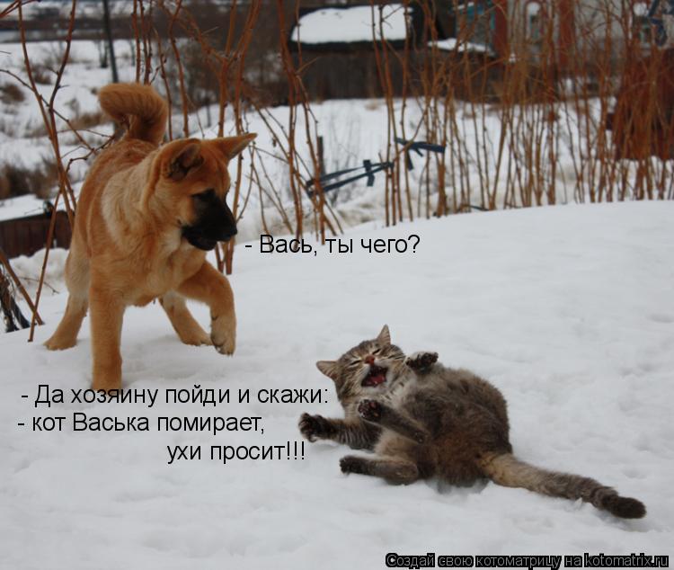 Котоматрица: - Вась, ты чего?  - Да хозяину пойди и скажи: - кот Васька помирает, ухи просит!!!