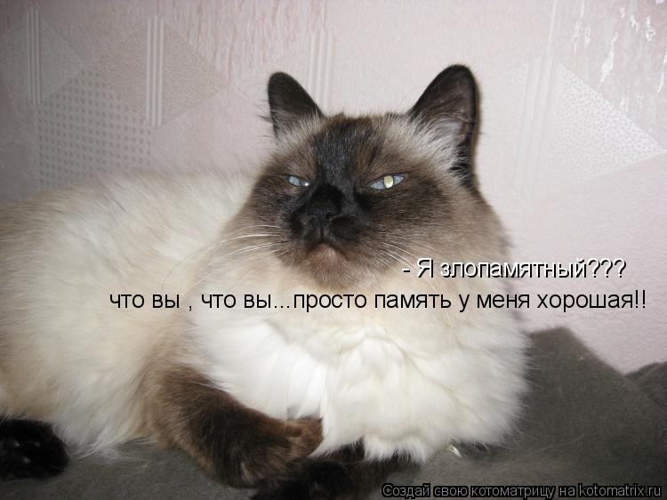 Котоматрица: - Я злопамятный??? что вы , что вы...просто память у меня хорошая!!