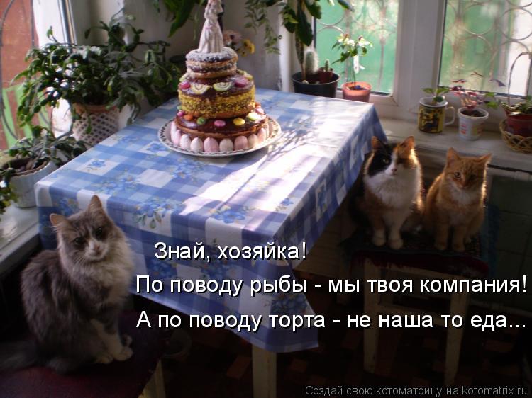 Котоматрица: Знай, хозяйка! По поводу рыбы - мы твоя компания! А по поводу торта - не наша то еда...
