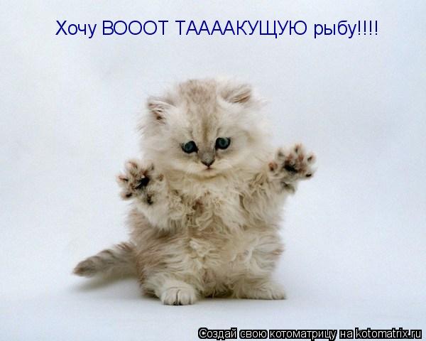 Хочу ВОООТ ТААААКУЩУЮ рыбу!!!!... Котоматрица: Хочу ВОООТ ТААААКУЩУЮ рыбу!!!!
