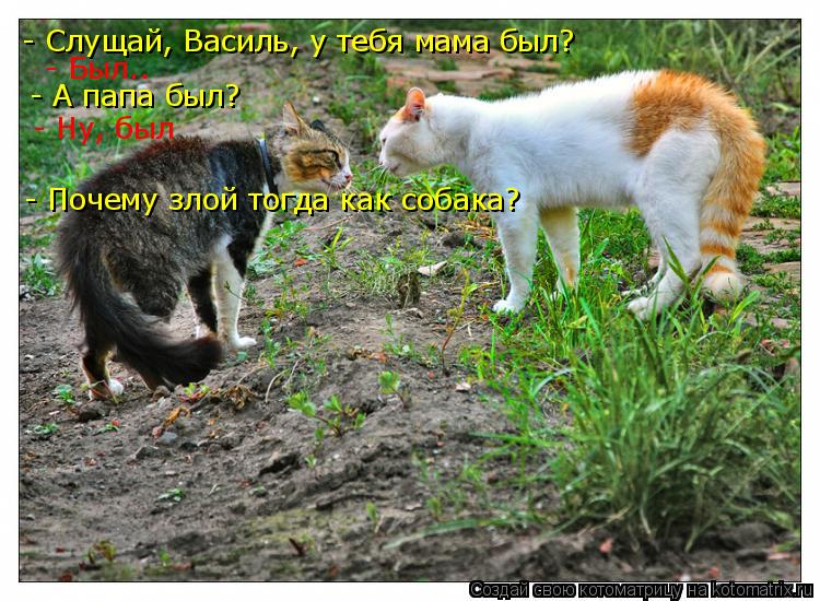 - Слущай, Василь, у тебя мама был? - Был.. - А папа был? - Ну, был - Почему злой тогда как собака?... Котоматрица: - Слущай, Василь, у тебя мама был? - Был.. - А папа был? - Ну, был - Почему злой тогда как собака?