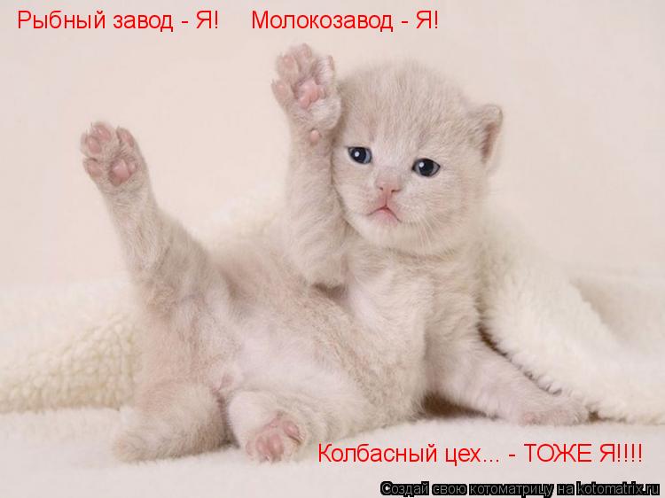 Рыбный завод - Я! Молокозавод - Я! Колбасный цех... - ТОЖЕ Я!!!!... Котоматрица: Рыбный завод - Я! Молокозавод - Я! Колбасный цех... - ТОЖЕ Я!!!!
