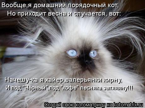 Вообще,я домашний порядочный кот, Но приходит весна и случается, вот: Начешу-ка я хайер,валерьянки ки... Котоматрица: Вообще,я домашний порядочный кот, Но приходит весна и случается, вот: Начешу-ка я хайер,валерьянки кирну, И под "Чёрный",под "кофе" песняка зат