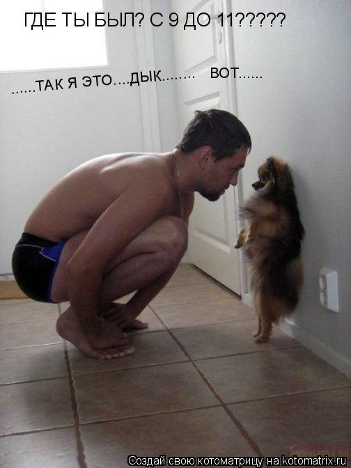 Котоматрица: ГДЕ ТЫ БЫЛ? С 9 ДО 11????? ......ТАК Я ЭТО....ДЫК........ВОТ...... ......ТАК Я ЭТО....ДЫК........ ......ТАК Я ЭТО....ДЫК........ ВОТ......