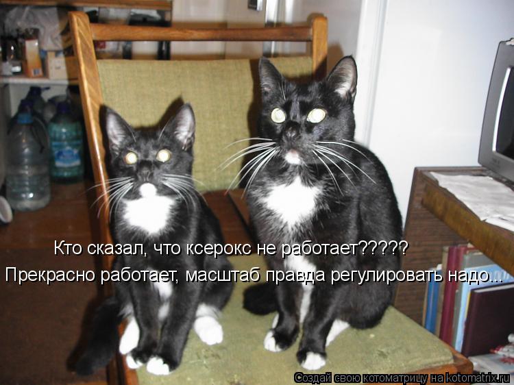 Котоматрица: Кто сказал, что ксерокс не работает????? Прекрасно работает, масштаб правда регулировать надо...