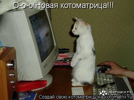 Котоматрица: О-о-о!Новая котоматрица!!!