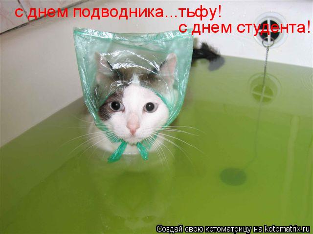 Котоматрица: с днем подводника...тьфу!  с днем студента!