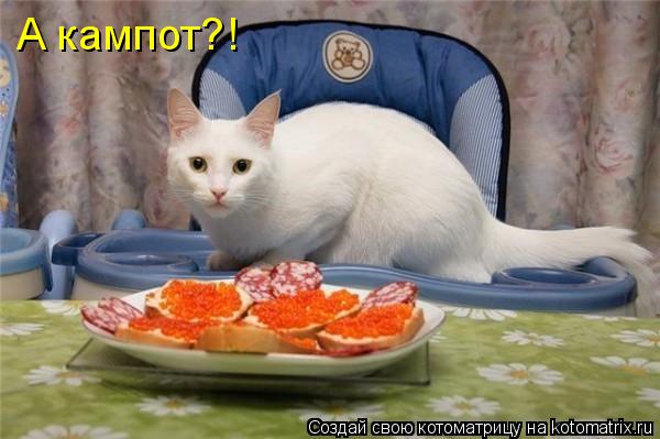 Котоматрица: А кампот?!