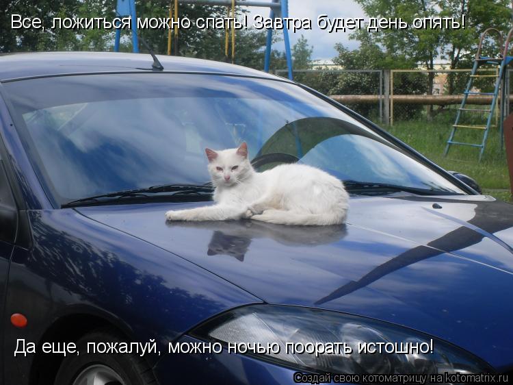 Котоматрица: Все, ложиться можно спать! Завтра будет день опять!  Да еще, пожалуй, можно ночью поорать истошно!