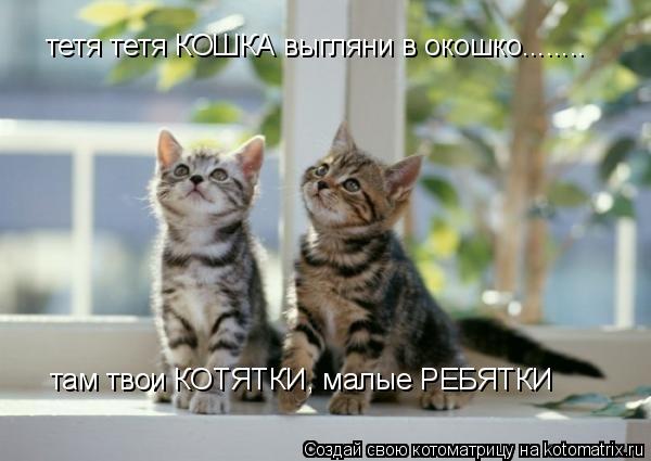 Котоматрица: там твои КОТЯТКИ, малые РЕБЯТКИ тетя тетя КОШКА выгляни в окошко........