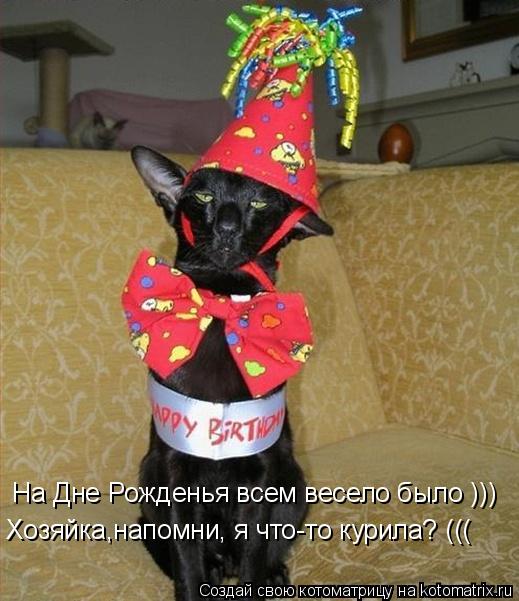Котоматрица: На Дне Рожденья всем весело было ))) Хозяйка,напомни, я что-то курила? (((
